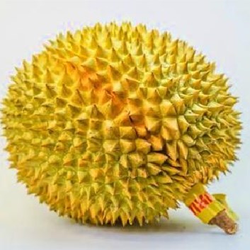 女人長期吃榴蓮的好處，榴蓮適合男人吃還是女人吃