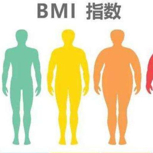 女性bmi越小越好嗎，女性bmi什么意思