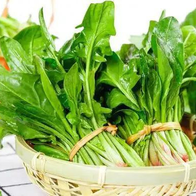 養(yǎng)肝第一菜是什么菜，養(yǎng)肝護(hù)肝的最好方法食譜