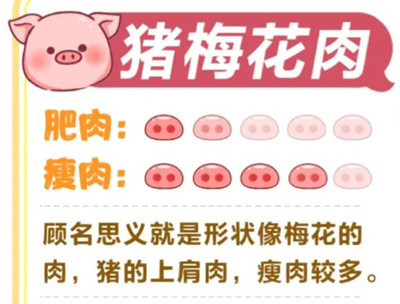 豬的哪個部位肉最好吃