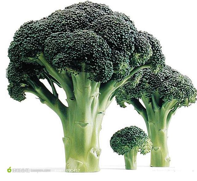 減肥？增??？塑形？這個蔬菜一定要吃！不僅僅是好吃！