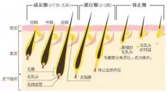 脫毛全攻略 分享一些脫毛小知識啦