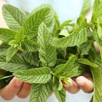 一些有效的祛斑妙招 肌膚白凈走哪兒都是焦點！