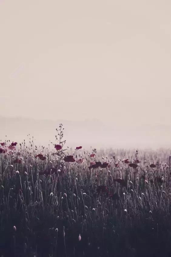 沒有主動一方的感情，早晚都會散場