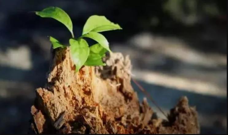 可以讓自己增值的行業(yè)，巨額財富來臨前的征兆
