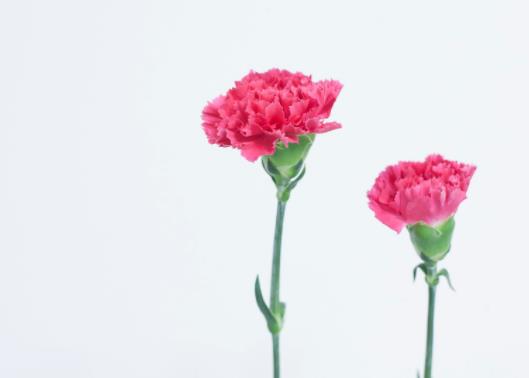 中年女人氣質(zhì)油膩是怎么回事，為什么人到中年會變油膩