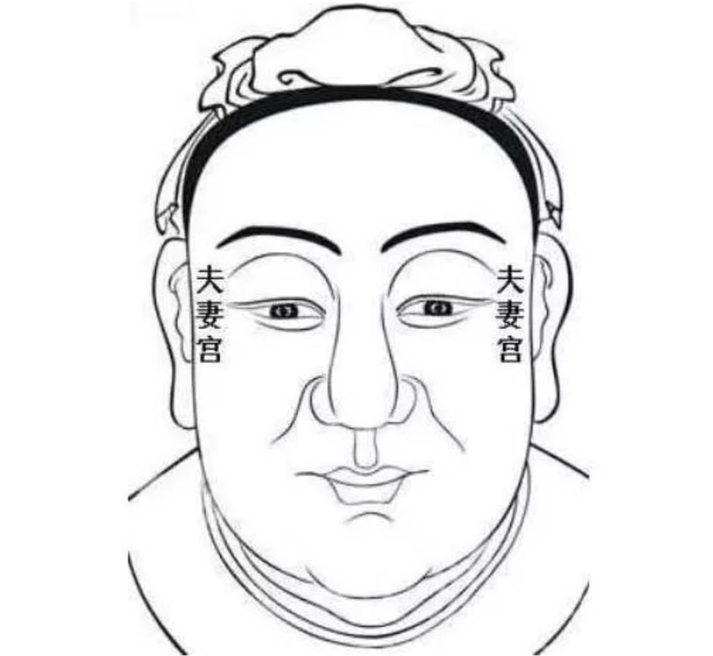 夫妻宮圖解大全